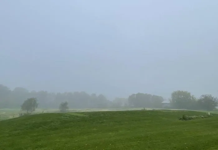 Foggy field
