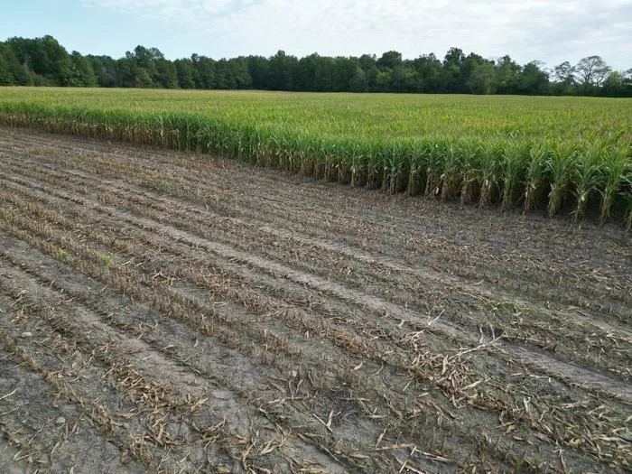 Iceberg plowmark seen in farm field
