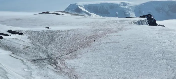 Young intrepid researcher uncovers hidden diversity in snow and glacier ecosystems across remote Antarctic island
