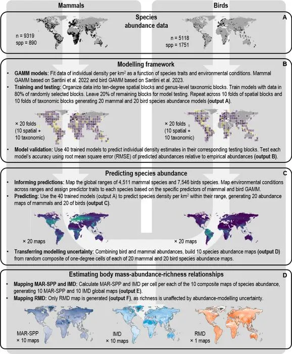 Workflow diagram to predict the individual density per km2 of mammal and bird species across a one-degree cell grid globally.