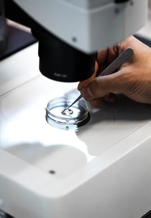 researcher positions fish embryos