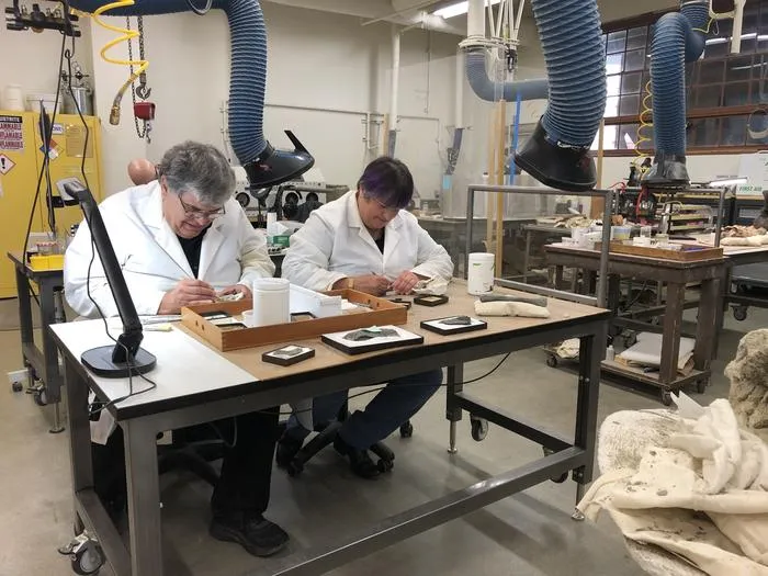 Dinosaur Institute volunteers Richard Hayes and Anne Baker-Hayes preparing Hayden Quarry Ghost Ranch fossils in NHMLAC’s Level 4 Fossil Lab