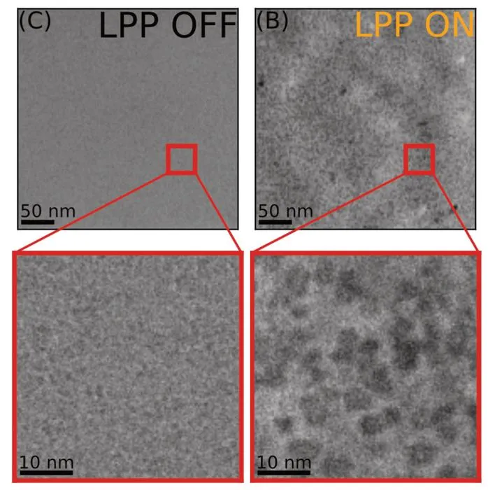 Laser on vs laser off of hemoglobin