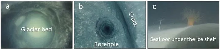 Borehole camera images of (a) glacier base, (b) crack found near the base and (c) life under the ice shelf.