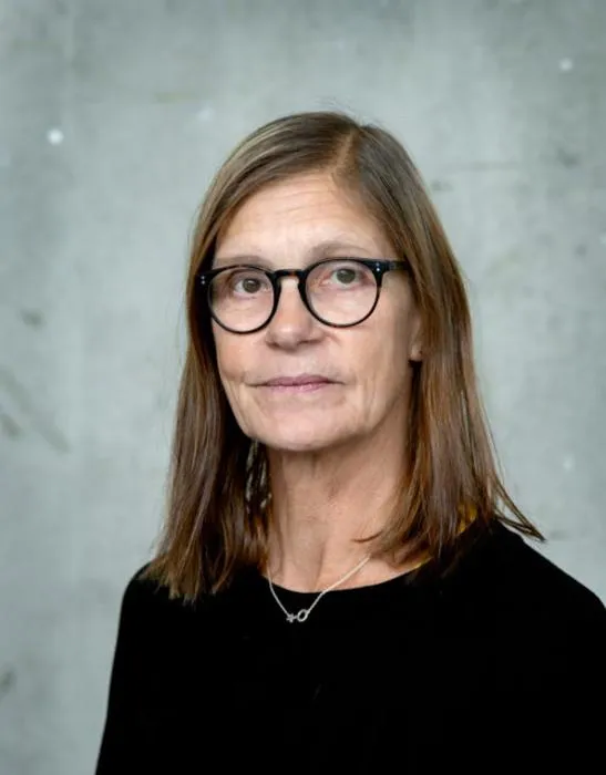 Cecilia Ferm Almqvist, Professor at the School of Educational Sciences, Södertörn University