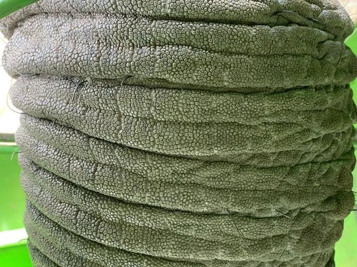 African elephant trunk