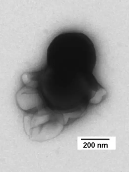 TEM image of the nanorobot