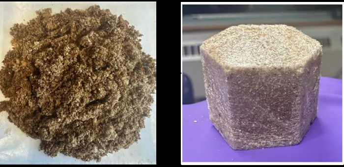 Sawdust-based foam could offer a sustainable alternative to polystyrene
