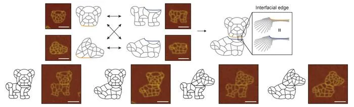 Figure 3. Example of modular nanostructures sharing curved boundaries (scale bar: 100 nm)