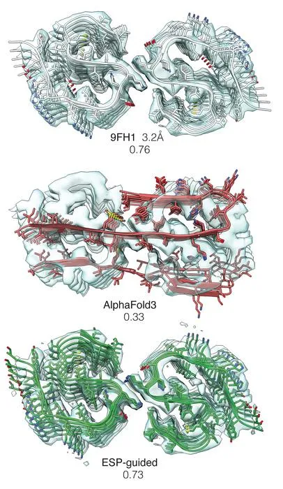 Experiment-guided AlphaFold produces models in agreement with measurements, even when AlphaFold3 completely mispredicts key structural features