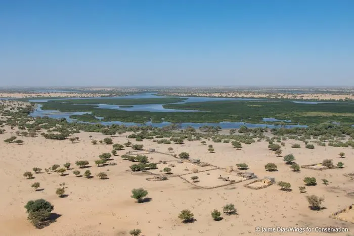 Settlement clusters on the shores of Lake Chad – aerial photographs taken during the 2022 survey © Jaime Dias / Wings for Conservation