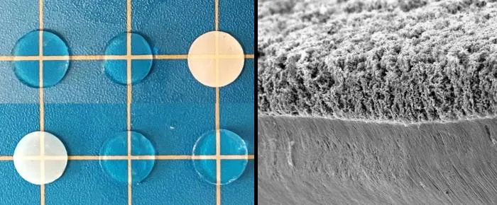 Hydrogels and image of a hydrogel surface
