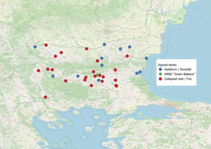 Map of the locations where distressed birds have been found