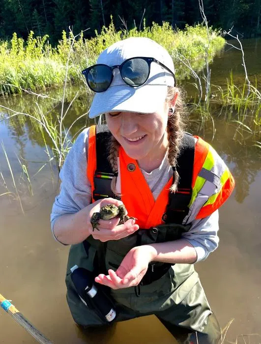 More Canadian than the beaver? Scientists discover a western toad found only in Canada