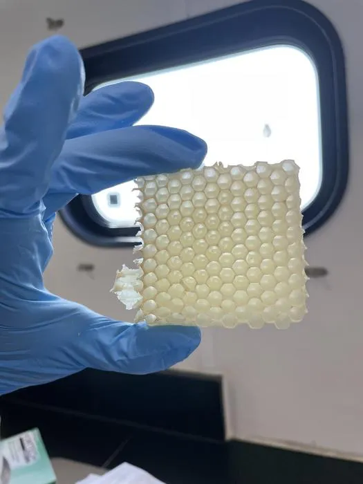 paraffin wax sample
