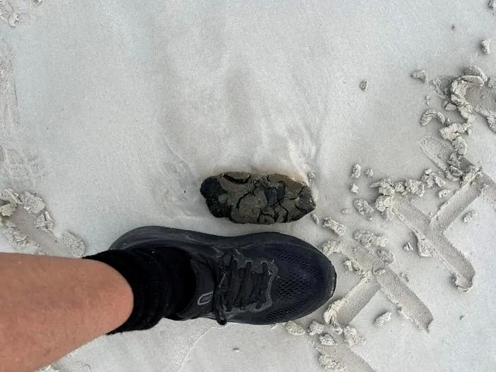 Southern right whale poop