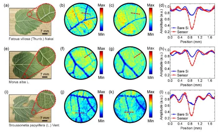 FIG 2