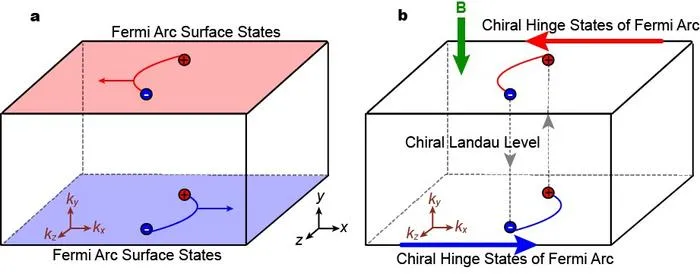 Fig. 1 | 3D QHE of Fermi arcs in Weyl semimetals.