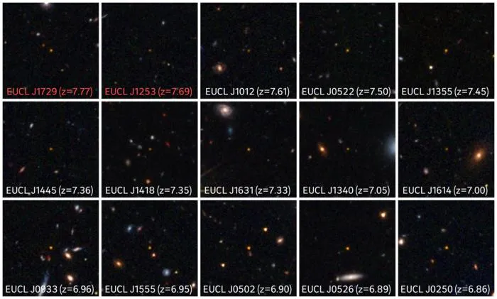 Quasars discovered by Euclid