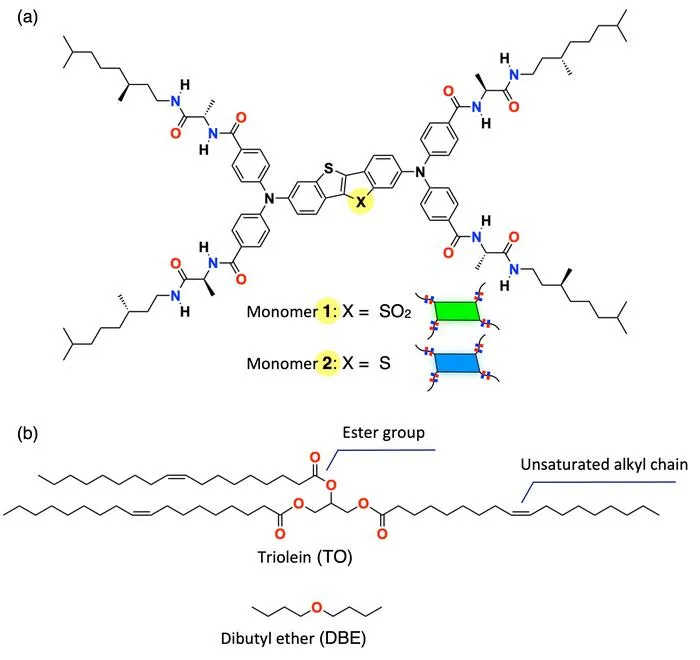 Chemical structures of the monomers used in the study