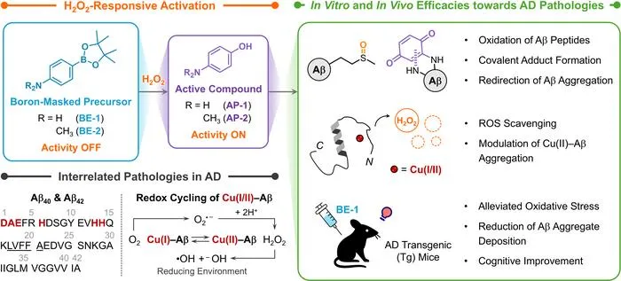 KAIST: Dementia-Causing Substance Turns On a Therapeutic “Switch”