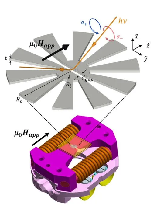Schematic illustration