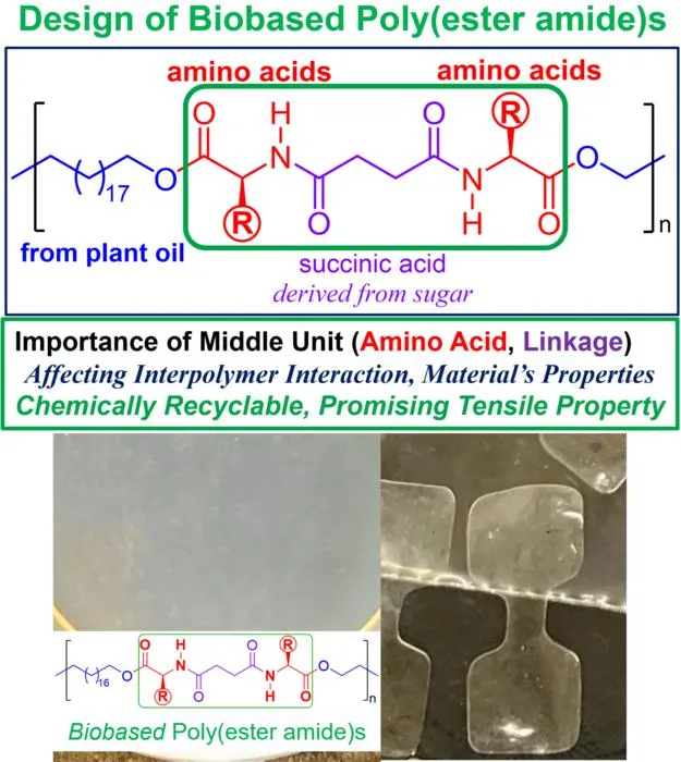 Figure 2. (Top) basic structure of biobased poly(ester amide) developed in this study, consisting of long-chain fatty acids (derived from vegetable oils), amino acids, and succinic acid (derived from sugar).  (Bottom) Prepared biobased poly(ester amide) f