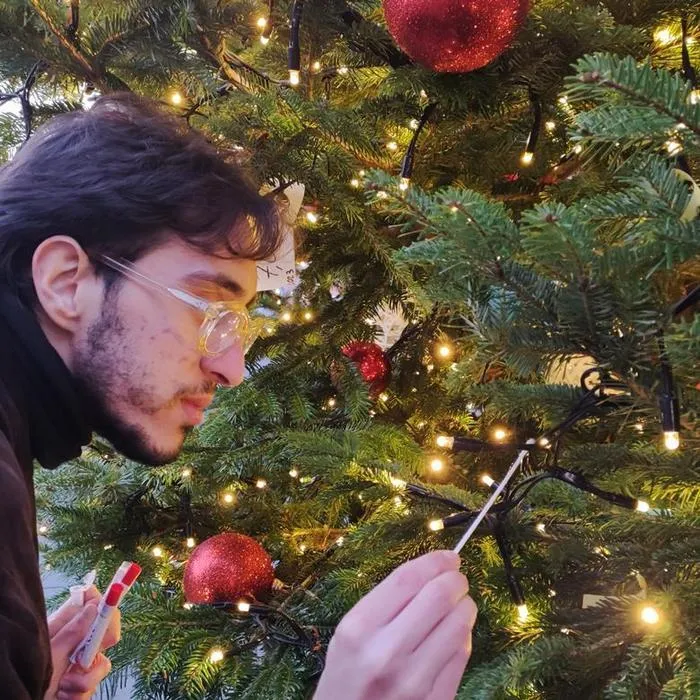 Student sampling microbes from a Christmas tree.