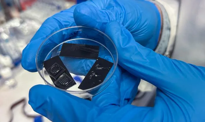 Microneedle patch samples