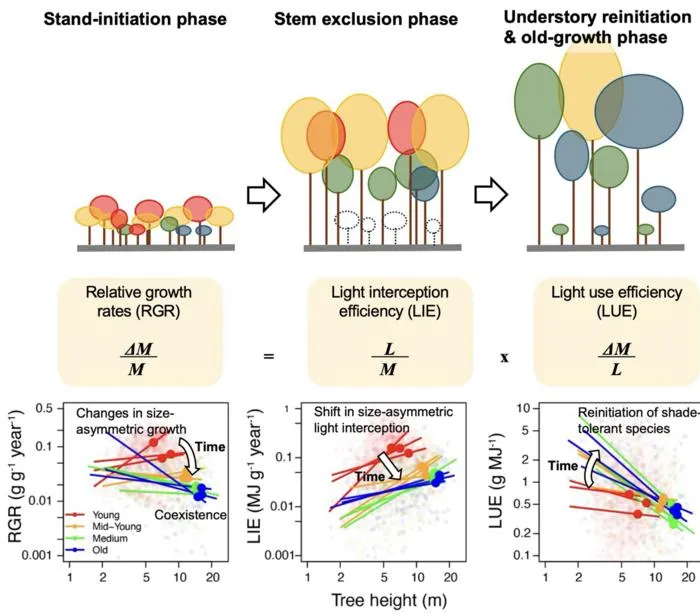 light competition - extra image