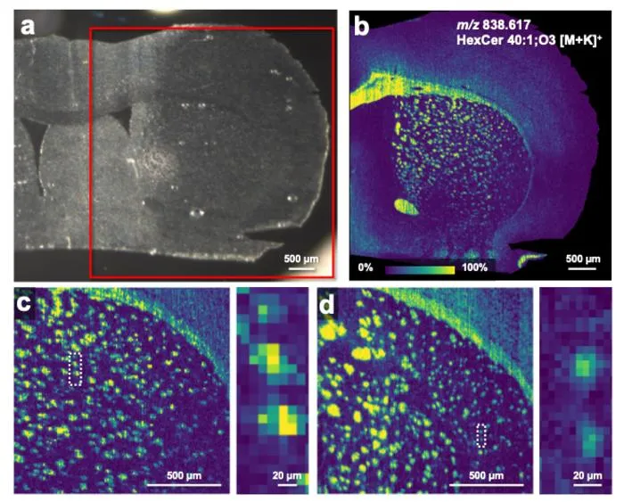 Fig. 3