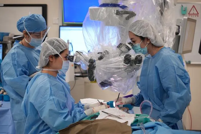 Manual microsurgery