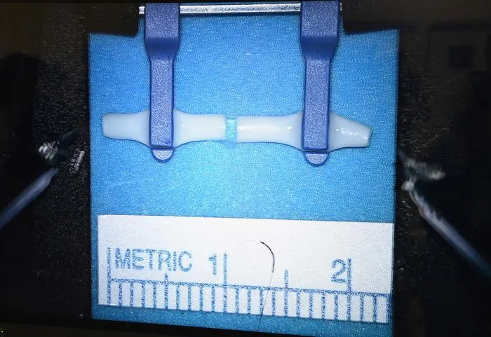 Microsurgery
