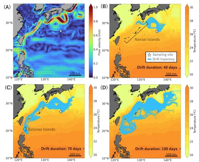Simulated drift trajectories of the plastic bottle cap