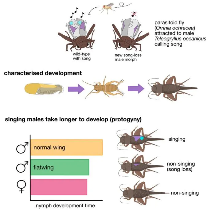 Graphical Abstract Explaining the Study's Key Results