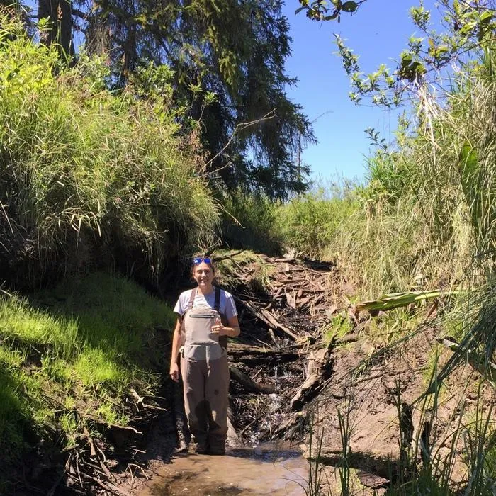 Beaver in tidal habitat: Examples from the Pacific Northwest