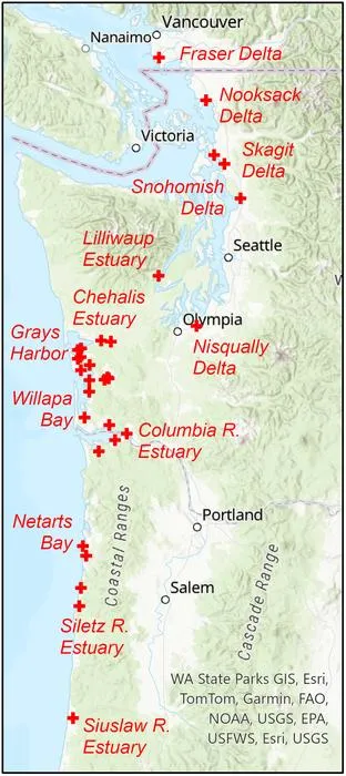 Beaver in tidal habitat: Examples from the Pacific Northwest