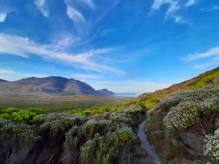 Kogelberg Nature Reserve, Western Cape, South Africa