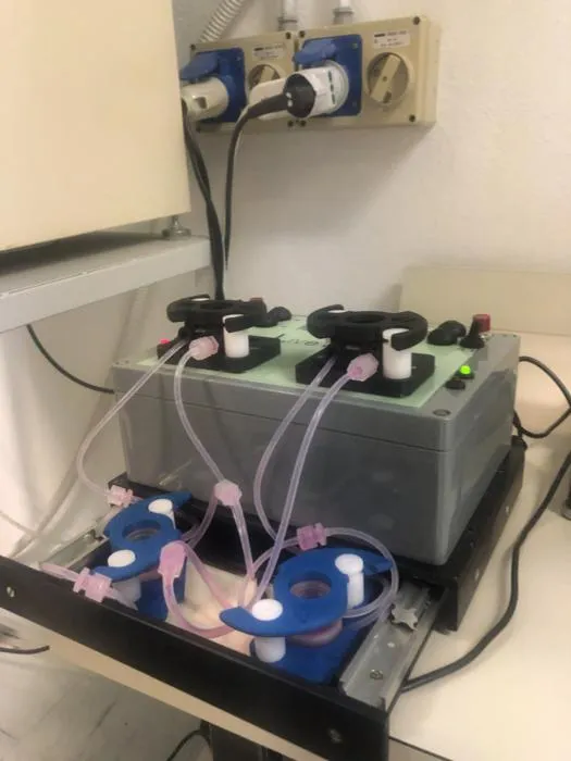 Bioreactor Used to House the Skin Cells for the Honey Treatment Experiment