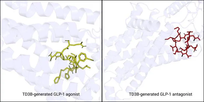 Agonists vs. Antagonists