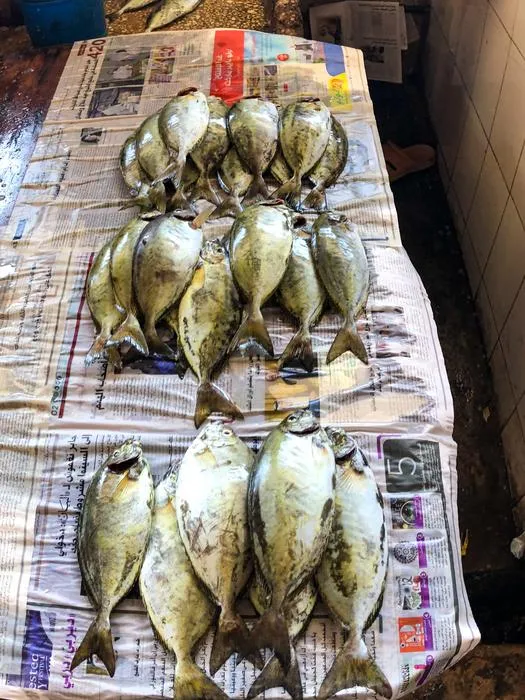 Rabbitfish in a market