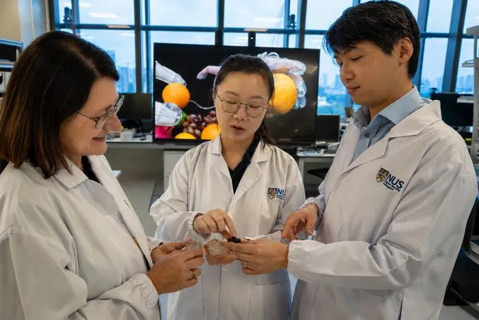NUS researchers develop soft sensor that turns touch into robotic action without electronics