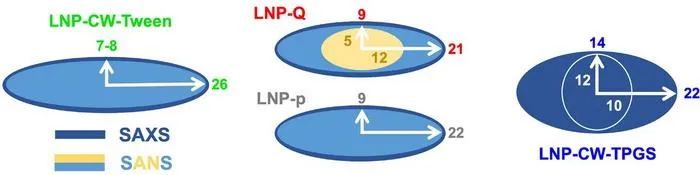 Drug delivery nanoparticles as seen by SANS and SAXS