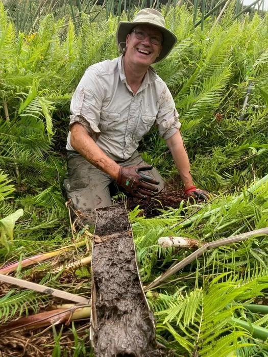 Prof David Sear