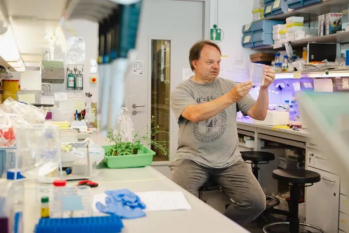 Professor Jiří Friml in his lab at ISTA