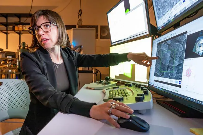 COCOON lab materials imaging service