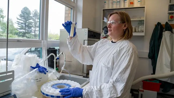 Dr Nat Easton studying samples in the lab