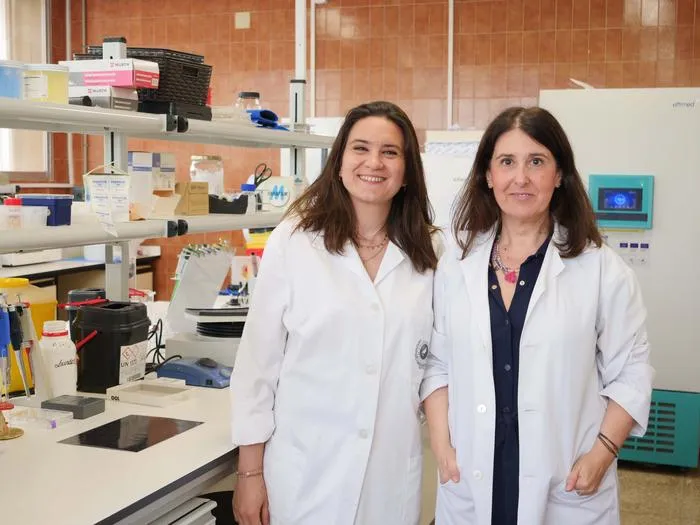 UMA scientists improve the analgesic efficacy of morphine