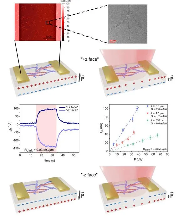 SWCNT-based pyroelectric phototransistor design and performance