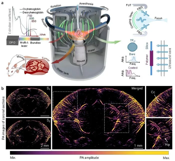 Figure 1 | Schematic of the dual-frequency FUT array-based multispectral PACT system for mouse brain imaging.